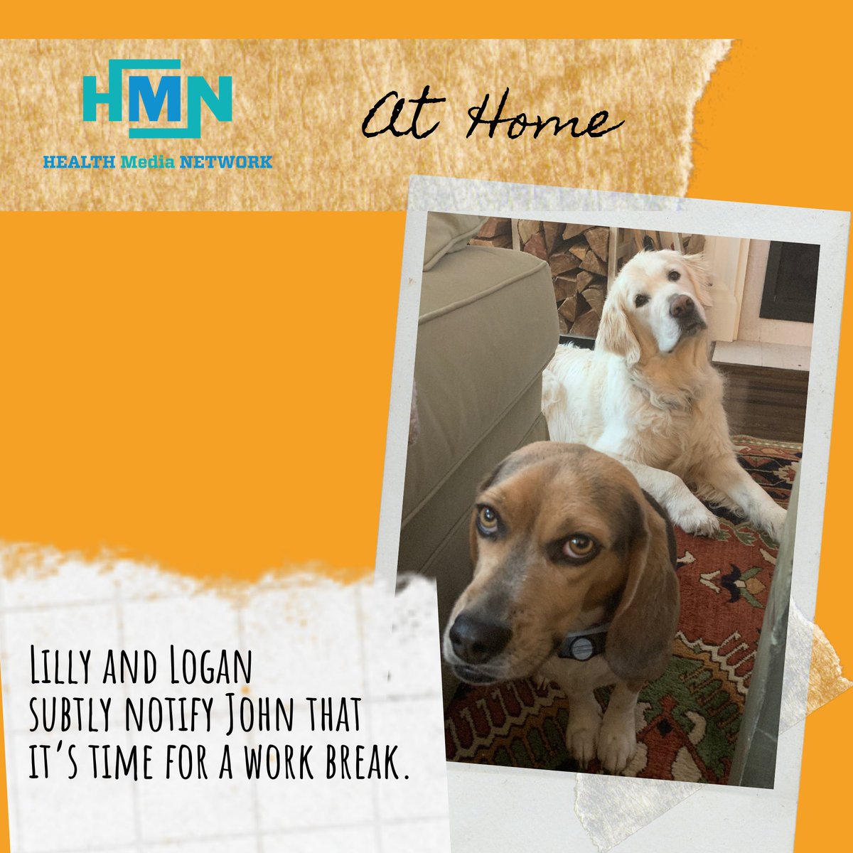 HMN_ads's tweet photo. National Account Director John Patterson’s two furry supervisors, Lilly and Logan, are a constant source of companionship while working from home during the #coronavirus #pandemic.  

#PetCareTVathome https://t.co/65hyy3GcqG