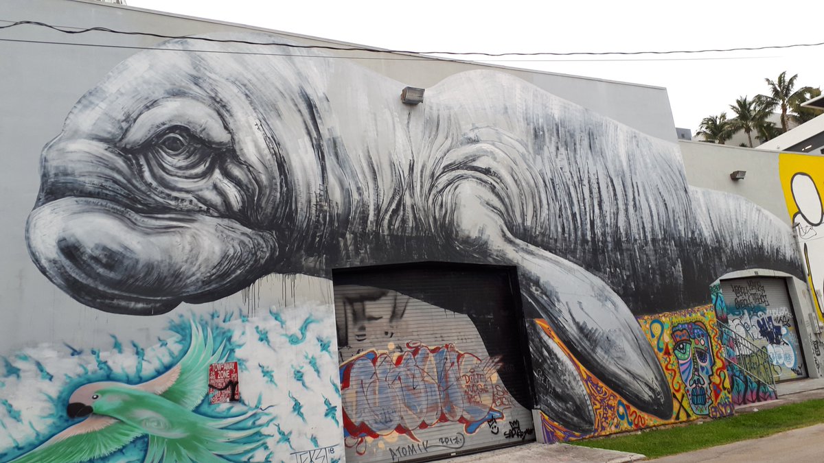 NDeransy's tweet photo. #Roa #Miami #streetart https://t.co/gERrlNEpvv