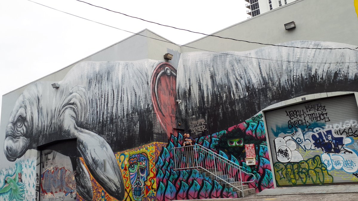 NDeransy's tweet photo. #Roa #Miami #streetart https://t.co/gERrlNEpvv
