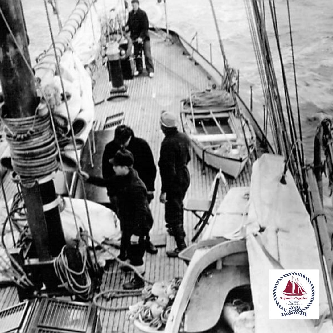 Sound Experience tweet media