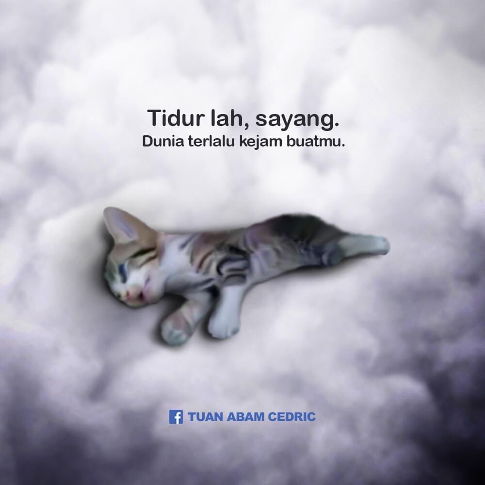 aryieandreiyask's tweet photo. Semoga si pelaku mendapat “ganjaran” yang setimpal... Tenanglah kamu wahai sayang... https://t.co/Pk8U0XGtnb