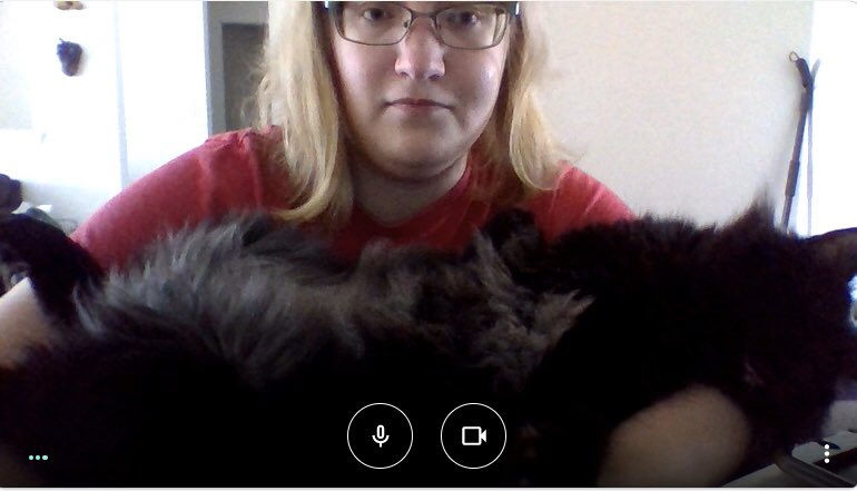 My cat when I’m on google meet 😂