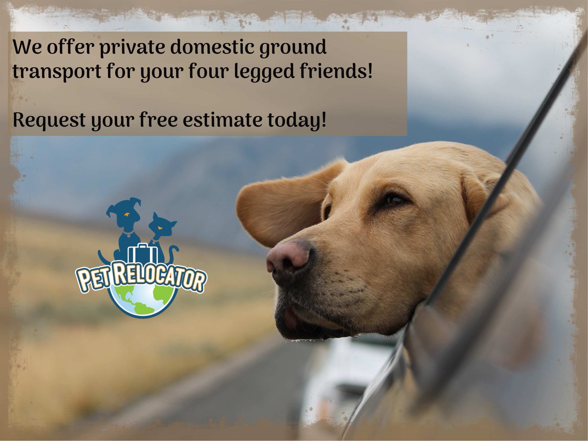 dog transporters ground service