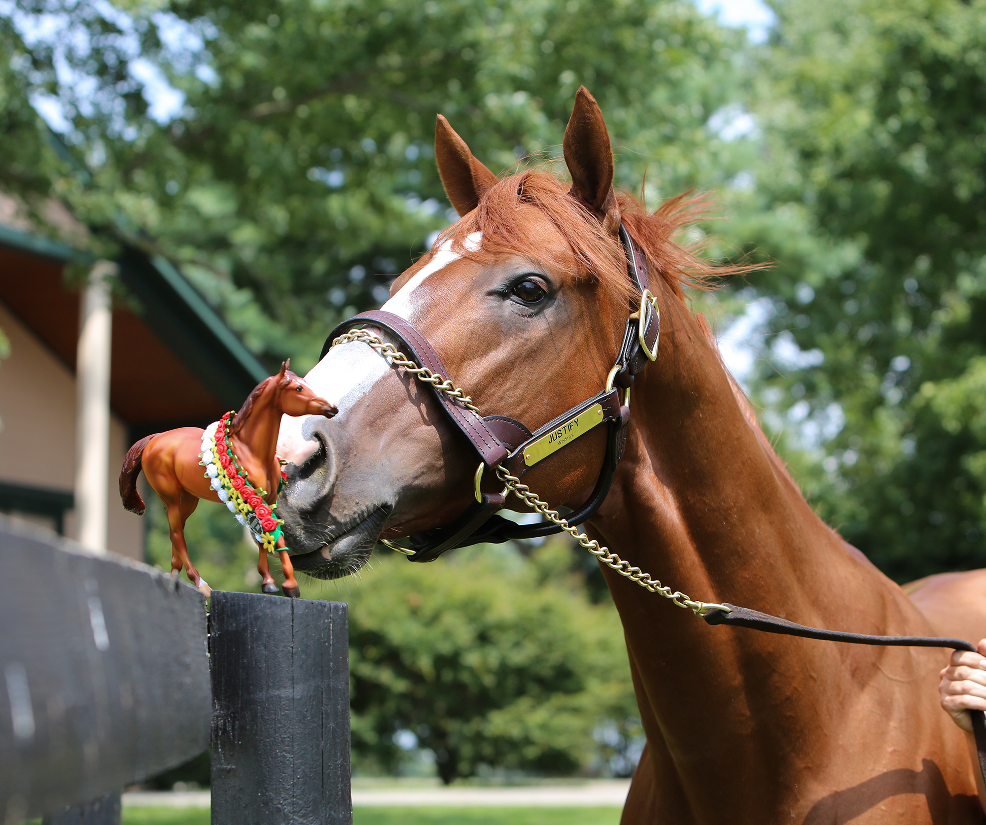 Breyer sales horse justify