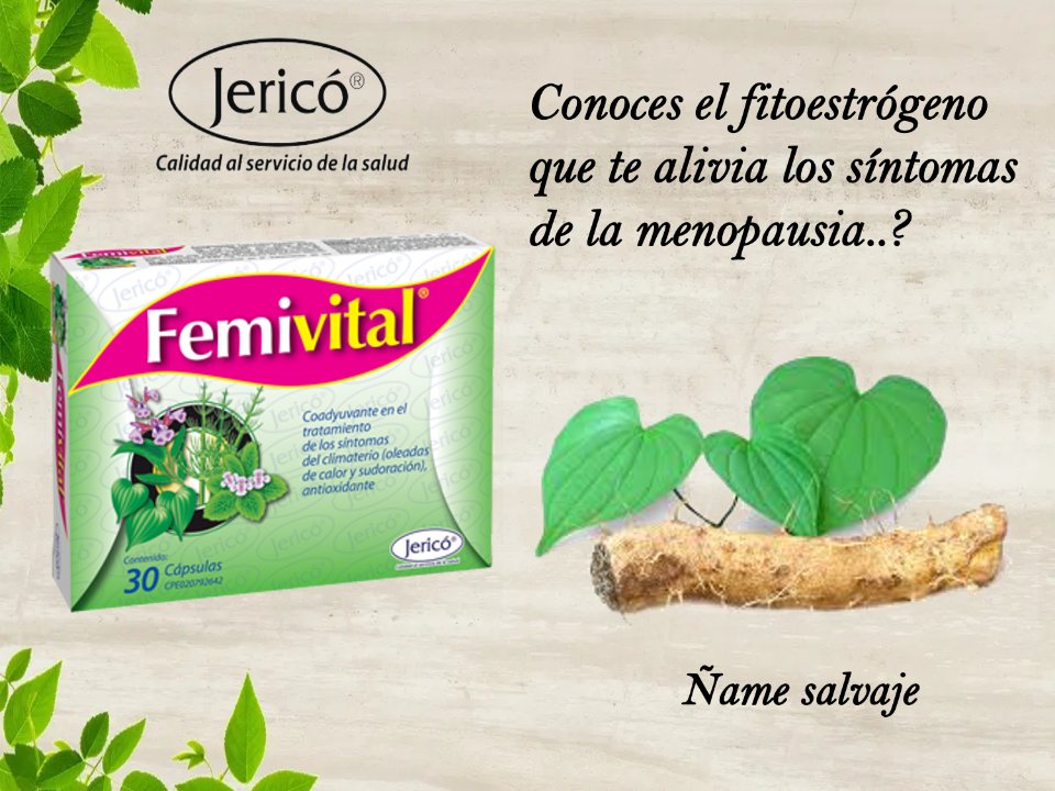 jericoessalud's tweet photo. Del Ñame Salvaje, uno de los componentes naturales de Femivital, se extrae la Diosgenina, una sustancia activa que actúa como un fitoestrógeno, el cual alivia los síntomas de la menopausia, como sudoración, vaporones y cambios de humor, entre otros. https://t.co/5WeA3Dj7aZ