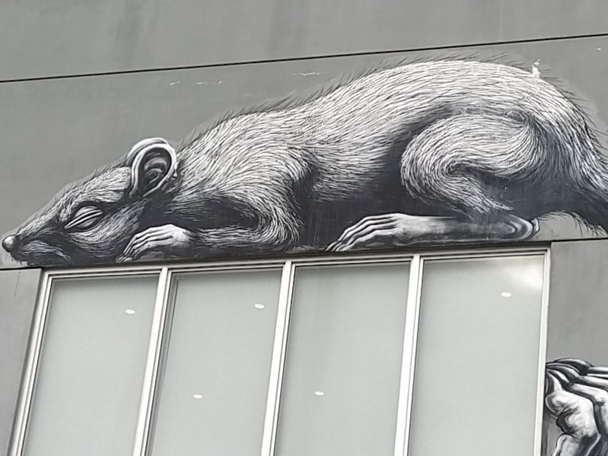 NDeransy's tweet photo. #Roa #Miami #streetart https://t.co/u46qxY0X05