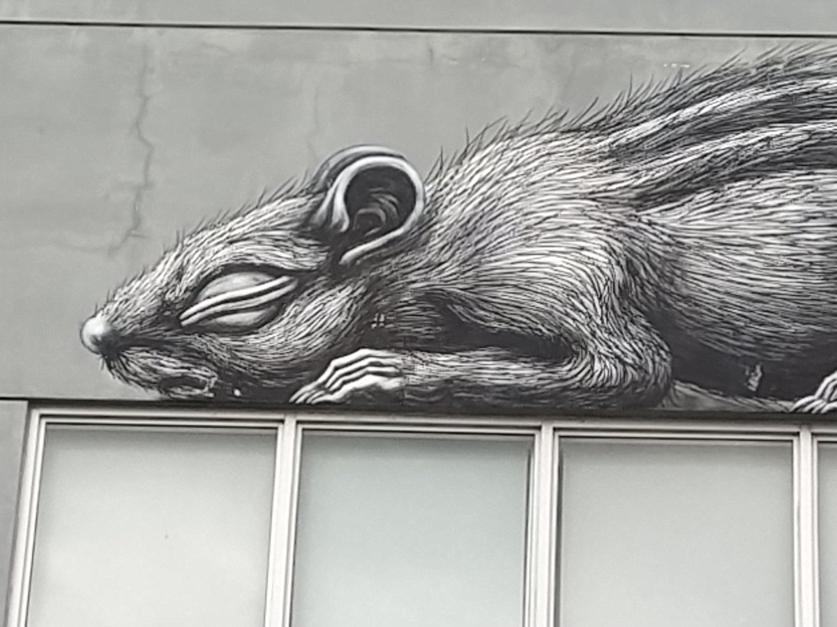 NDeransy's tweet photo. #Roa #Miami #streetart https://t.co/u46qxY0X05