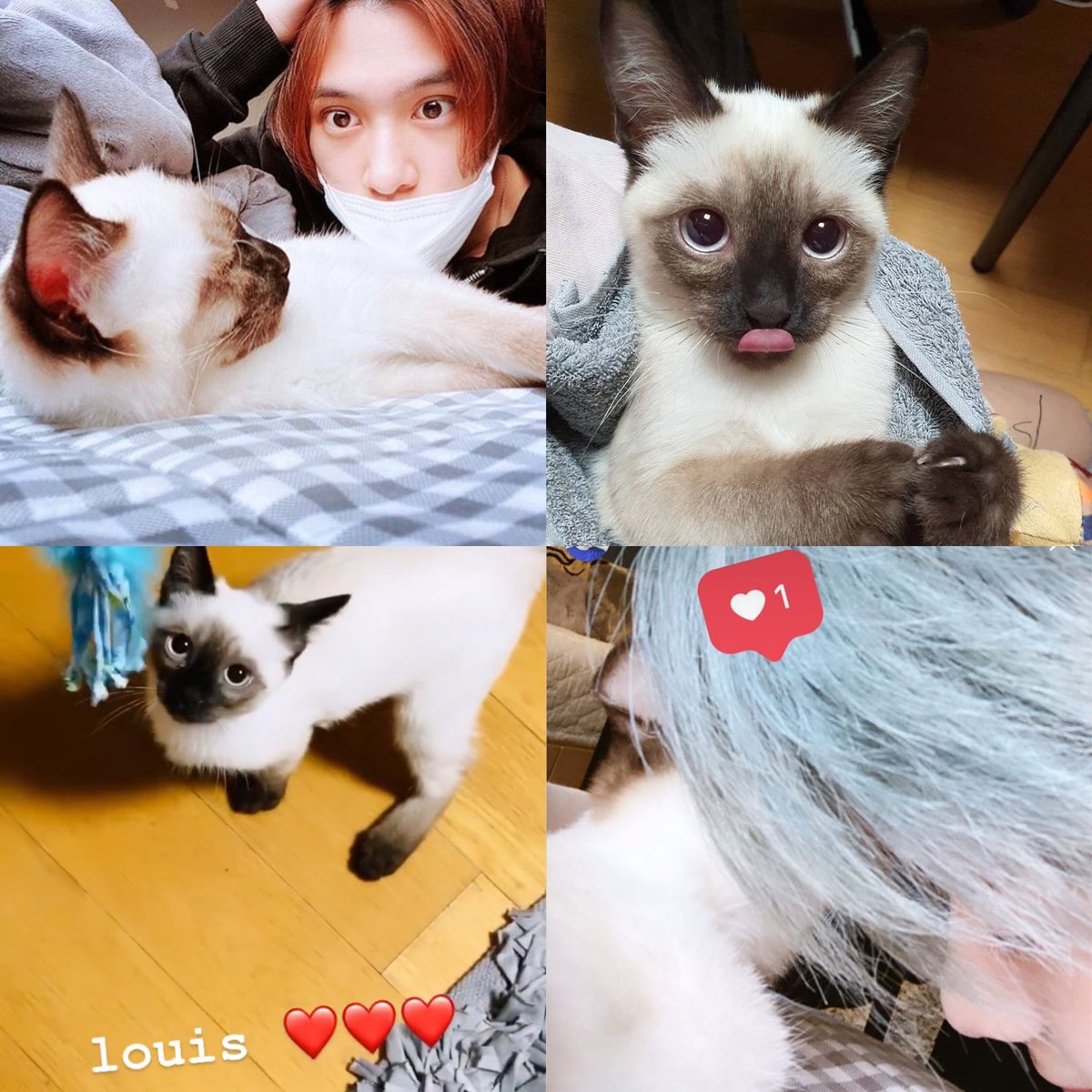 chxyxhyun's tweet photo. ไอจี 127                                         ไอจี wayv https://t.co/K8l2z8pDnx