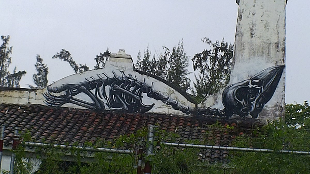 NDeransy's tweet photo. #Roa #puertorico #streetart https://t.co/Wl71PF2WCQ