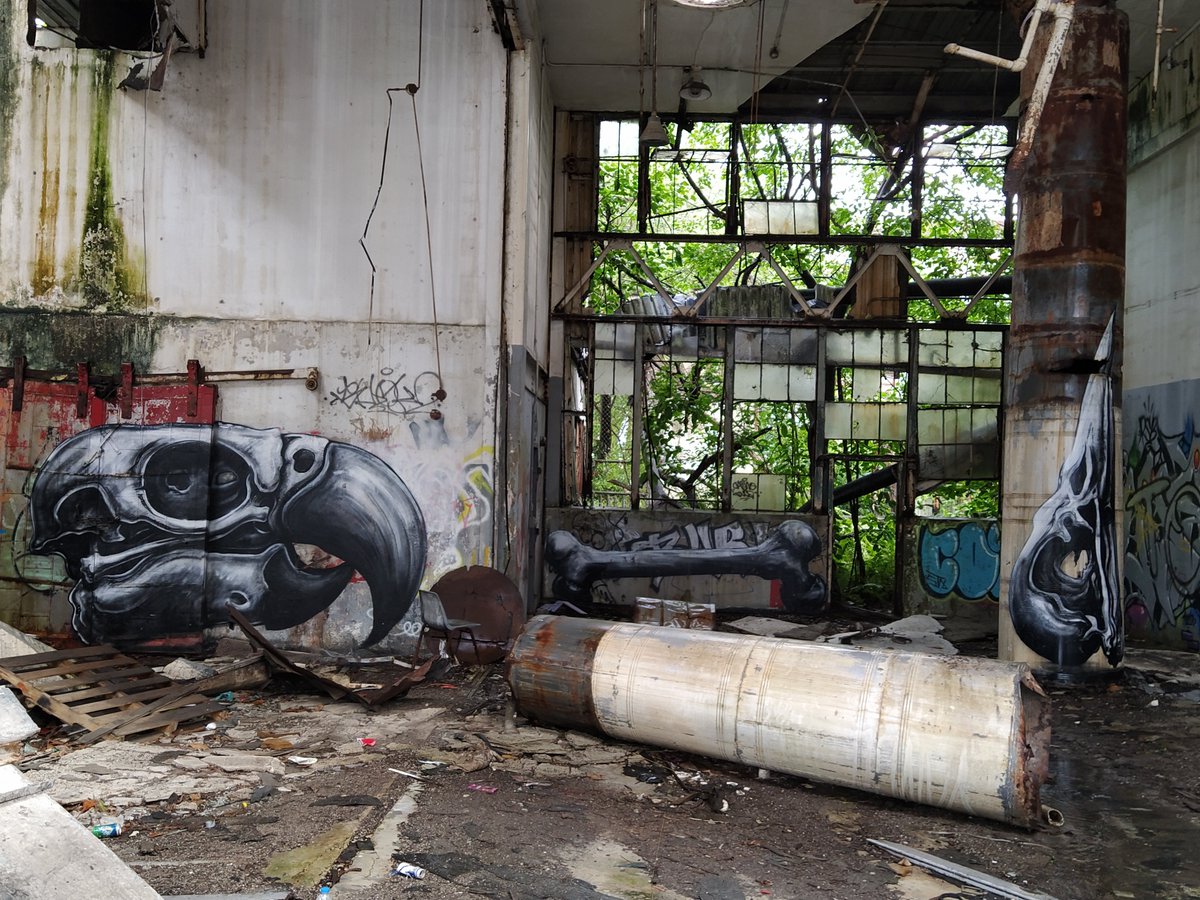 NDeransy's tweet photo. #Roa #puertorico #streetart https://t.co/Wl71PF2WCQ