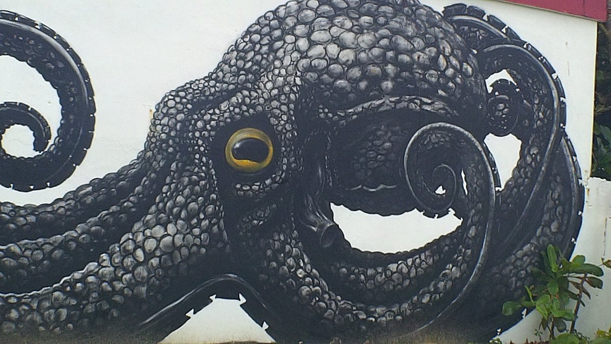 NDeransy's tweet photo. #Roa #streetart #puertorico https://t.co/sTAy484LI3