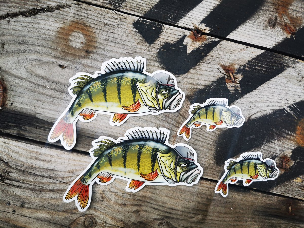 andygault3's tweet photo. These are brilliant and the quality is excellent the guys over at https://t.co/Xyl2hngevZ are very helpful. Now we're to stick them. Check them out. Thanks @Moodyfish1
. #perch #stickers #fishingstickers #brilliant #topquality https://t.co/uuq7P8QJfd