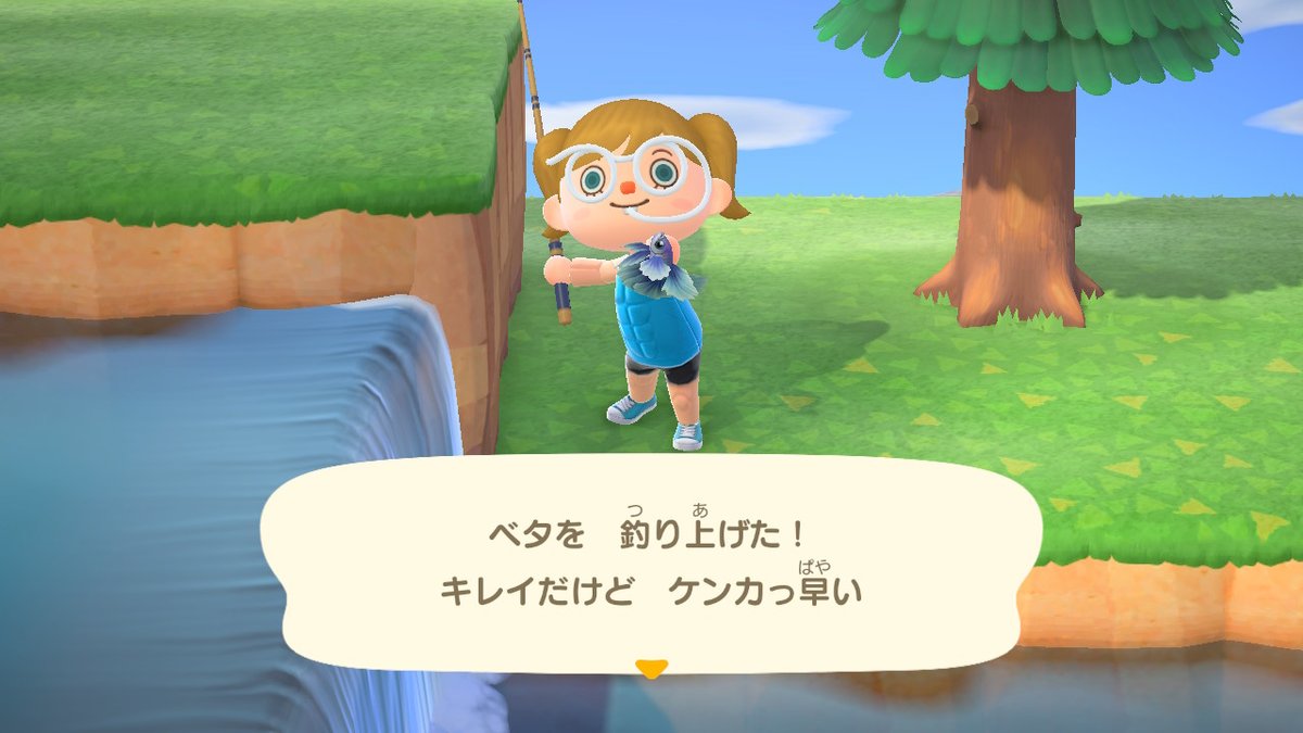 chokth's tweet photo. #どうぶつの森 #AnimalCrossing #ACNH #NintendoSwitch https://t.co/yu1oxMWnLg