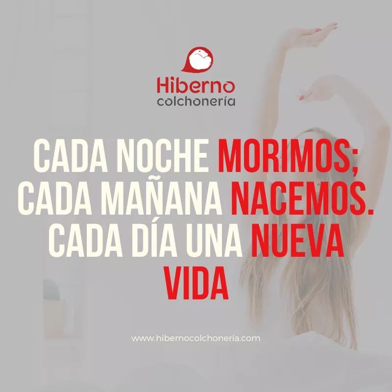Hiberno_Colchon's tweet photo. Cada día es una nueva #oportunidad para empezar de 0. 💪
#EdwardYoung lo tenía muy claro. 😉

☎️ 954 153 413
📧 info@hibernocolchoneria.com

#Nacer #Despertar #Hiberno #Sevilla https://t.co/tA8rKMgxkq