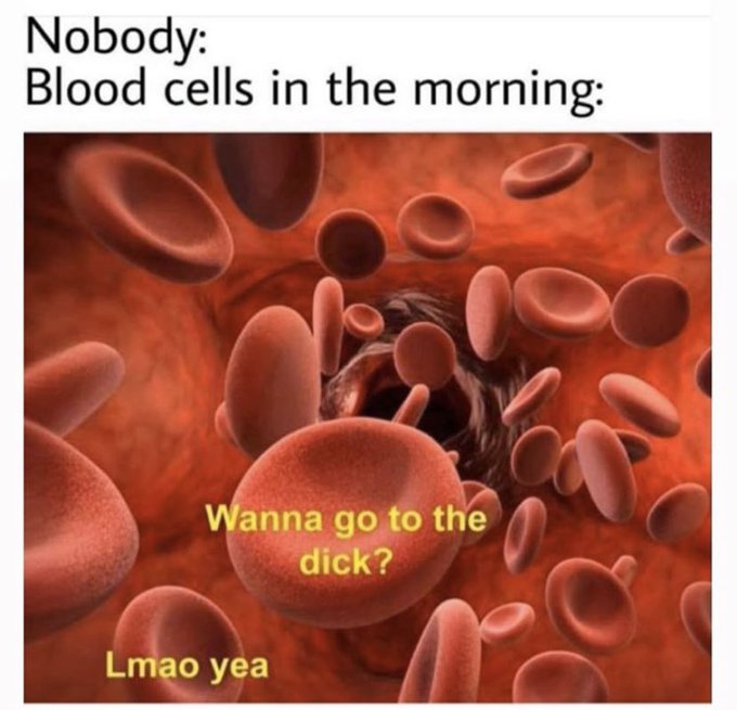 Hello! How is going your morning?  🤣 https://t.co/ErG5g9cMfx