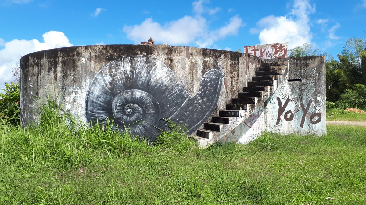NDeransy's tweet photo. #Roa #streetart #puertorico https://t.co/CaZFmDQT0C