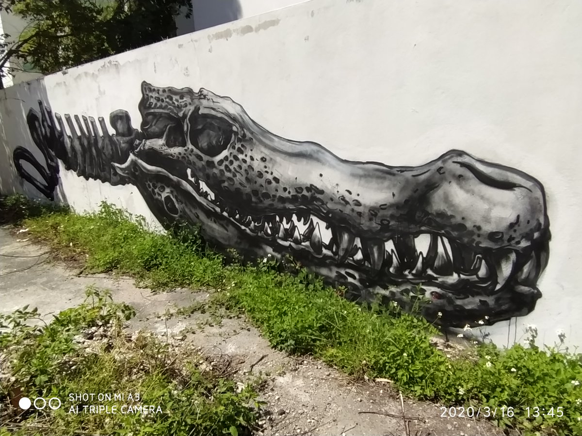NDeransy's tweet photo. #Roa #streetart #puertorico https://t.co/CaZFmDQT0C