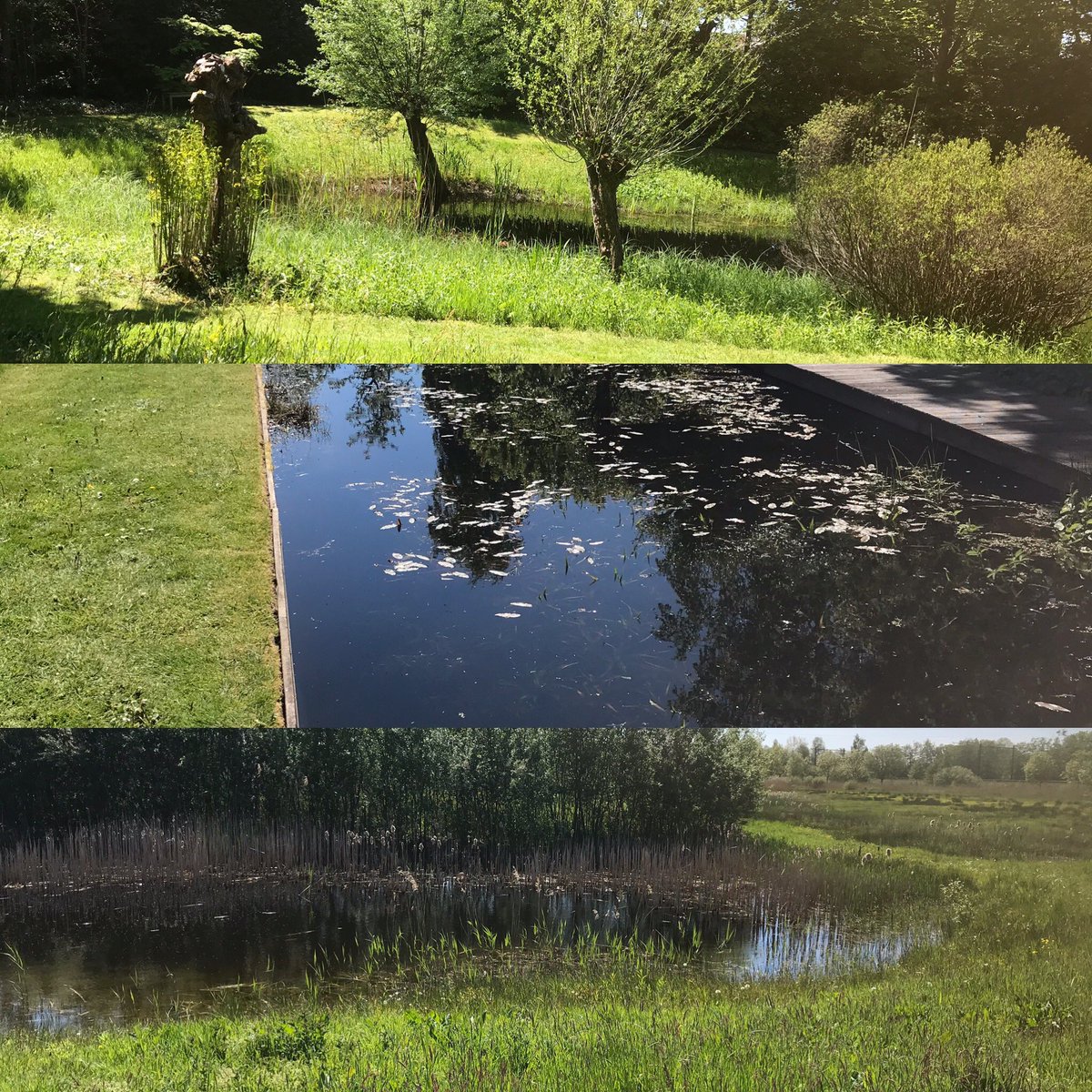 🥰 pilates en yoga hier de komende weken ☀️