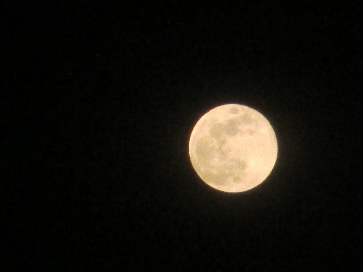 amit712_2010's tweet photo. #supermoon
#lockdownextension
#coronavirus
#Covid_19
#thursdayvibes
#BuddhaPurnima
#IndiaFightsCorona #BSF #veska
Today's Awesome full Moon pic.
@isro @NASA @esa @csa_asc @narendramodi @RSSorg @MoHFW_INDIA @PrakashJavdekar @Space_Station @NASAMoon https://t.co/J7ab2tUL3n