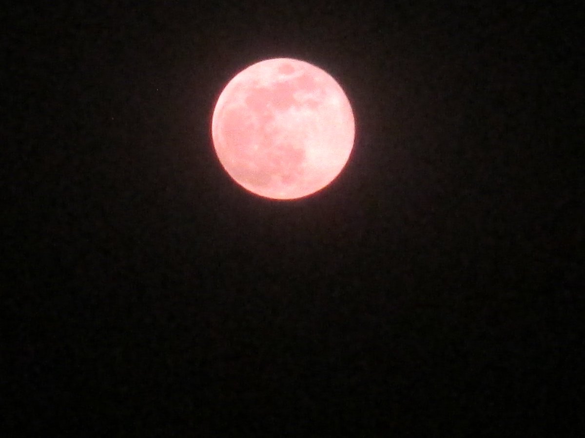 amit712_2010's tweet photo. #supermoon
#lockdownextension
#coronavirus
#Covid_19
#thursdayvibes
#BuddhaPurnima
#IndiaFightsCorona #BSF #veska
Today's Awesome full Moon pic.
@isro @NASA @esa @csa_asc @narendramodi @RSSorg @MoHFW_INDIA @PrakashJavdekar @Space_Station @NASAMoon https://t.co/J7ab2tUL3n