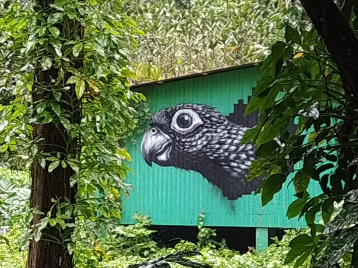 NDeransy's tweet photo. #Roa #streetart #puertorico https://t.co/l5W3ZqPgFD
