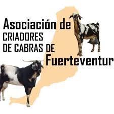 Nota de Prensa de la Asociación de Criadores de Cabra de Fuerteventura
rtvaguacabra.com/noticias/nota_…