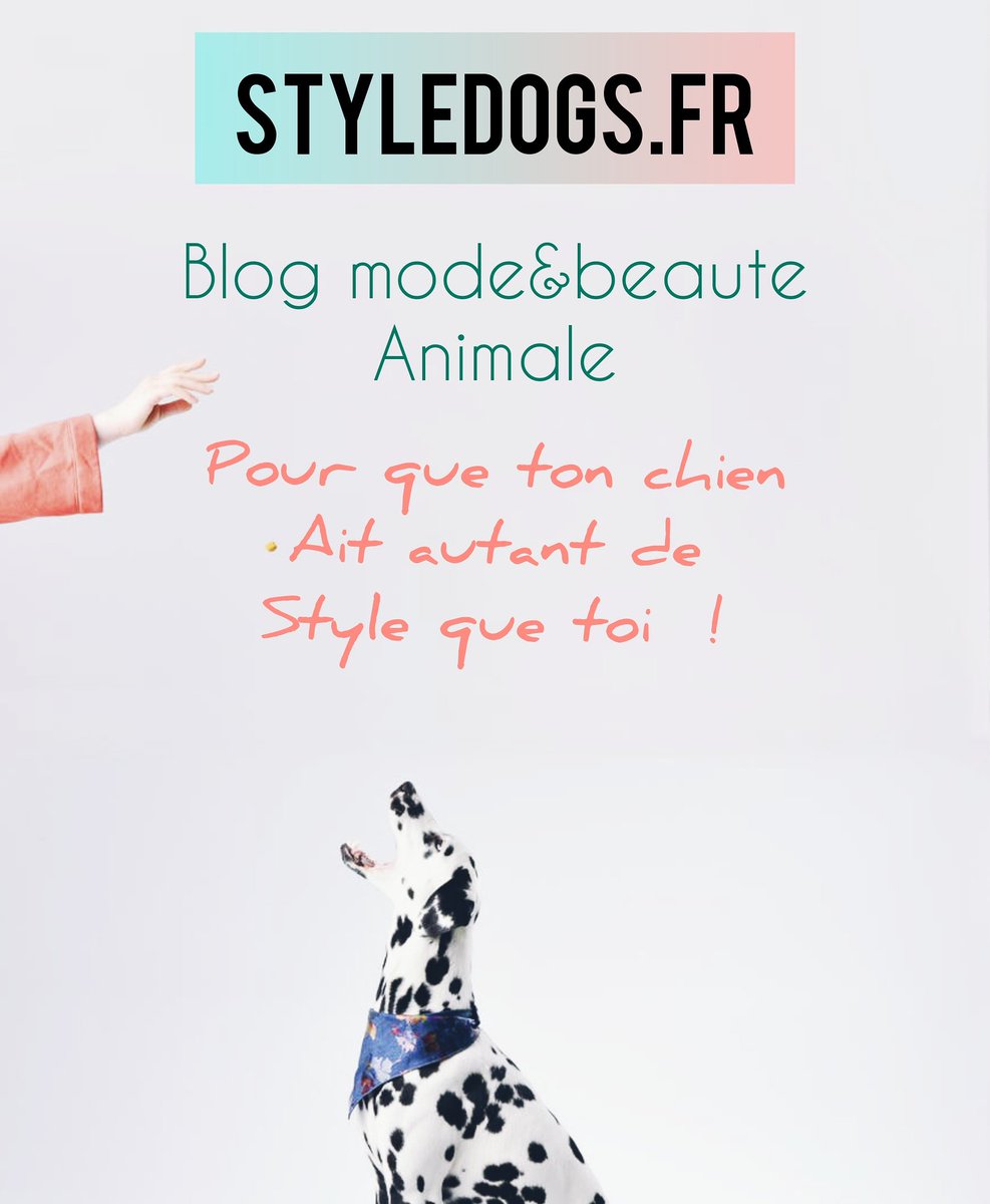 StyliDog's tweet image. Styledogs.fr est un blog mode et beauté pour chiens 🐾 N'hésite pas à venir faire un tour sur mon site interne 🌸
.
#chien #chiens #amourdechien #chiots #pets #puppylove #doglife #blog #mode  #styledogs #bloggers #photodujour #picoftheday #dogfashion #dogclothes