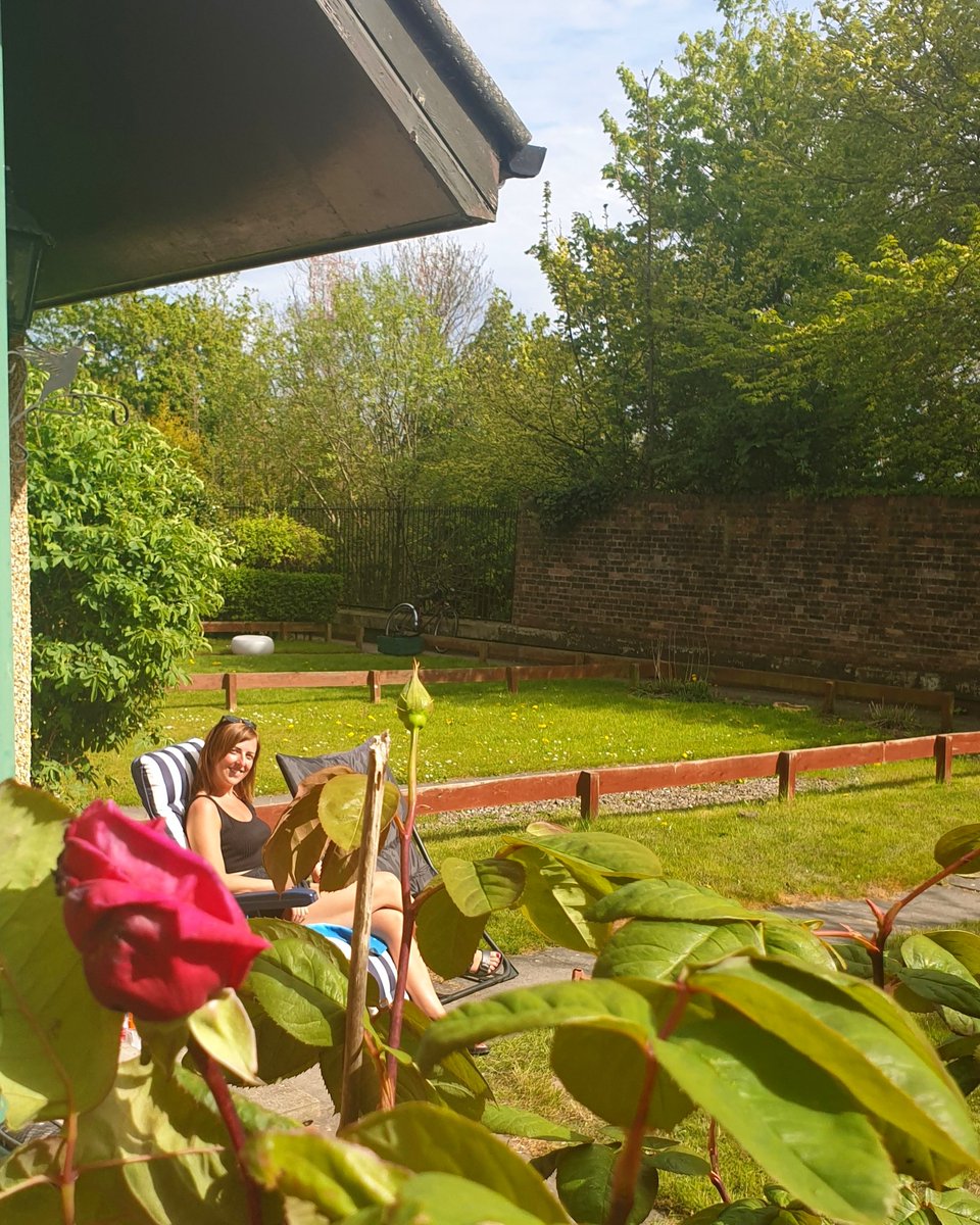 Happy place 🌳🌺❤ #mygarden #sunndays #nature #rosebush #blueskies #greengrassofhome #holidays #bestdaysoff