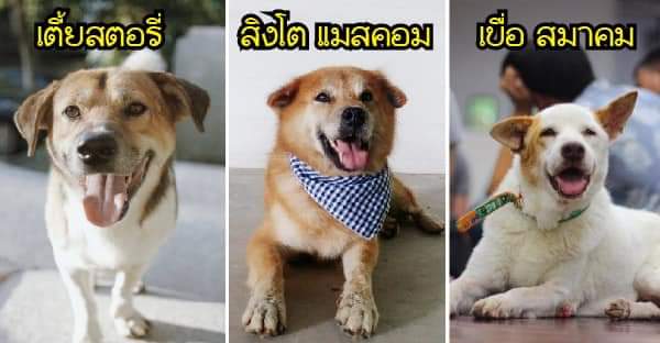 ใช้หัวใจนำทาง รัก BW☀️🐰 tweet media