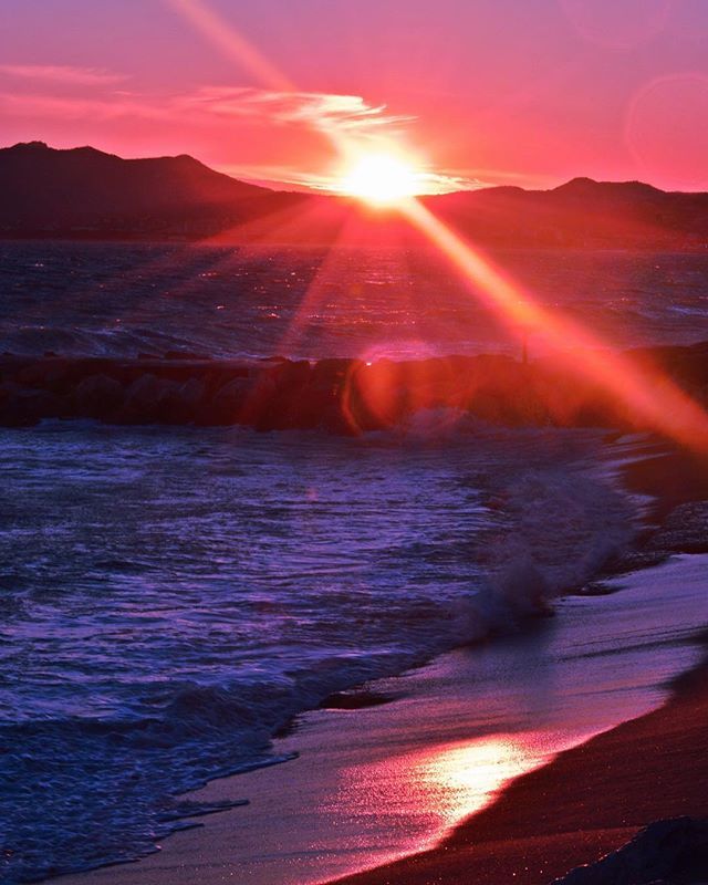 Cannes_France's tweet photo. [ #ToDoListPostConfinement à #Cannes]
🌅 Admirer le coucher du soleil depuis : 
🏖 La plage
🌿 la Colline de la Californie
🍸 le Roof Top d'un hôtel...
... et vous ? 
📷 jen_lombardo
#CotedAzurFrance https://t.co/9lBqaaiLEJ