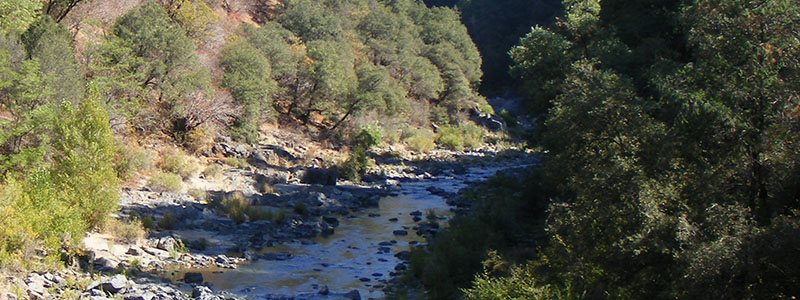 MoveCAFWD's tweet photo. Win-win nature of improving forest health can benefit #CAwater supply, community well-being &amp; climate resiliency in rural regions &amp; beyond — @PPICNotes report: https://t.co/jjpeTo1bbC https://t.co/k8YhrnNBGN