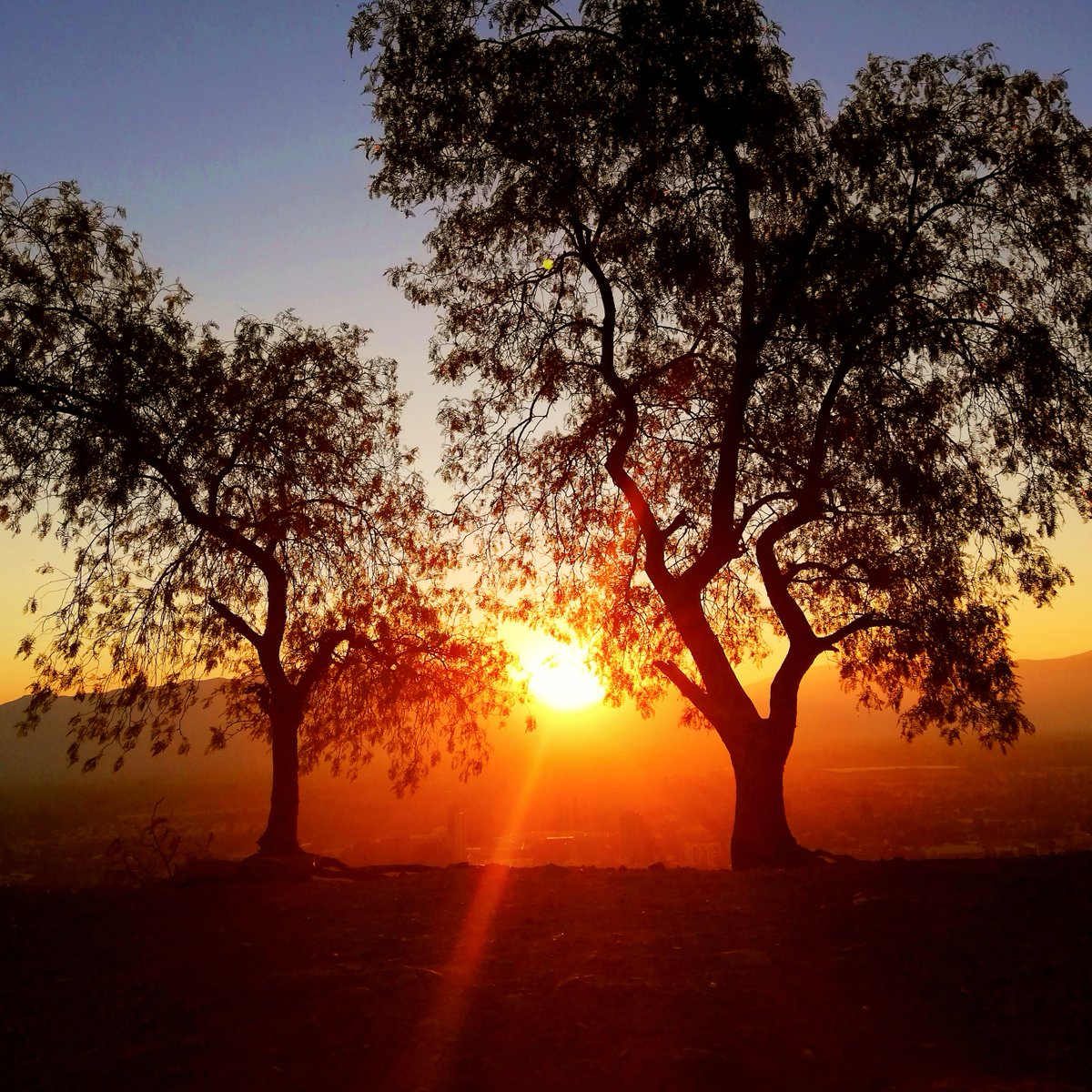 alvaroaguilar17's tweet photo. Del otro día.
#atardecer #sunset #otoño #autumn #beauty #nature #lupa #3lentescom #topshot #allaroundtheworld #trees #HuaweiP20Lite https://t.co/5up51S0q4h