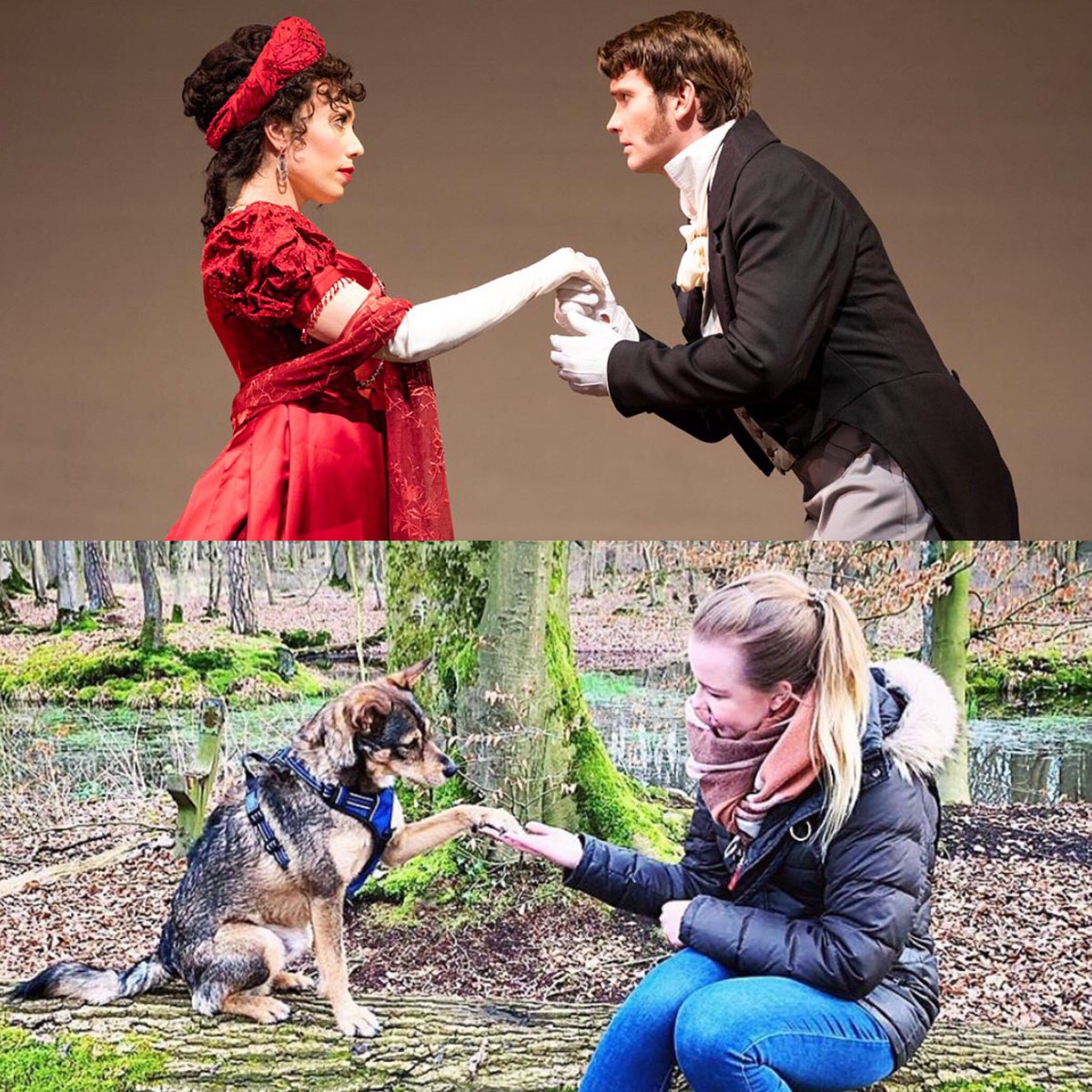 theoperadogs's tweet photo. Gimme paw 🐾

📸 @seattleopera https://t.co/S8W0NJxhk0