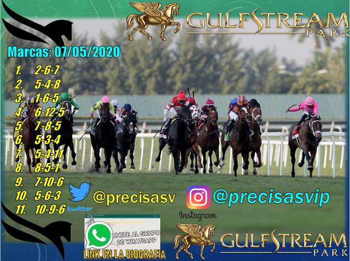 PrecisasV's tweet photo. ✳️👍 @GulfstreamPark 07/05/2020✳️👍
 @CanalHipicaTV @videohipico @hipismonet @ronic17 @jasonblewitt30 @acacia_courtney @CaribePalma @CasellaCampione @Equibase @DRFInsidePost @PotroRob 
#Hipismo
#JuevesHipico
#PickGulfstreamPark
#Americanas
#DatosHipicos
#CarrerasAmericanas https://t.co/nTcWGULdnf