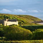 Photo by Pembs Farm B + B (@Pembsbandb)