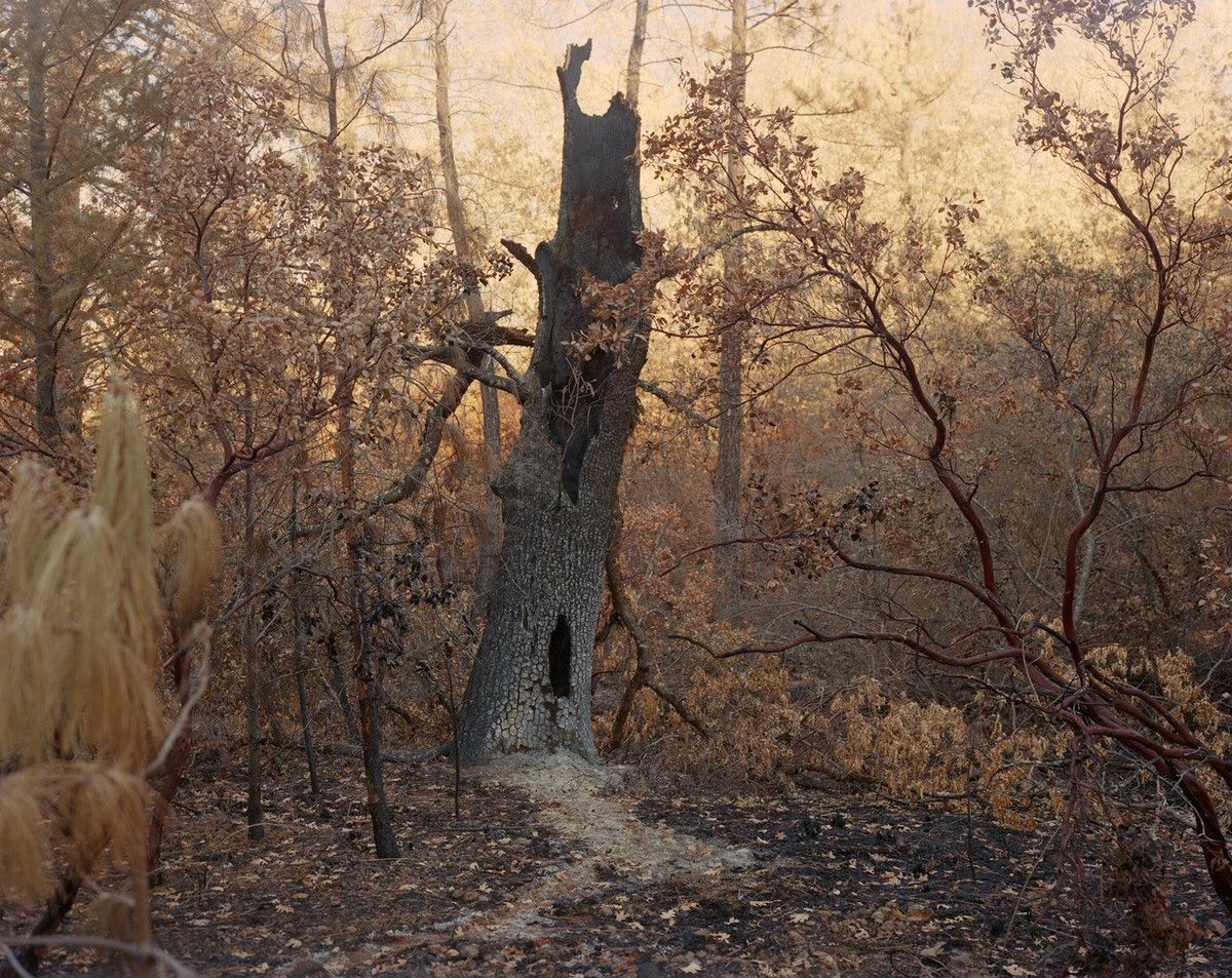 Light Work tweet media