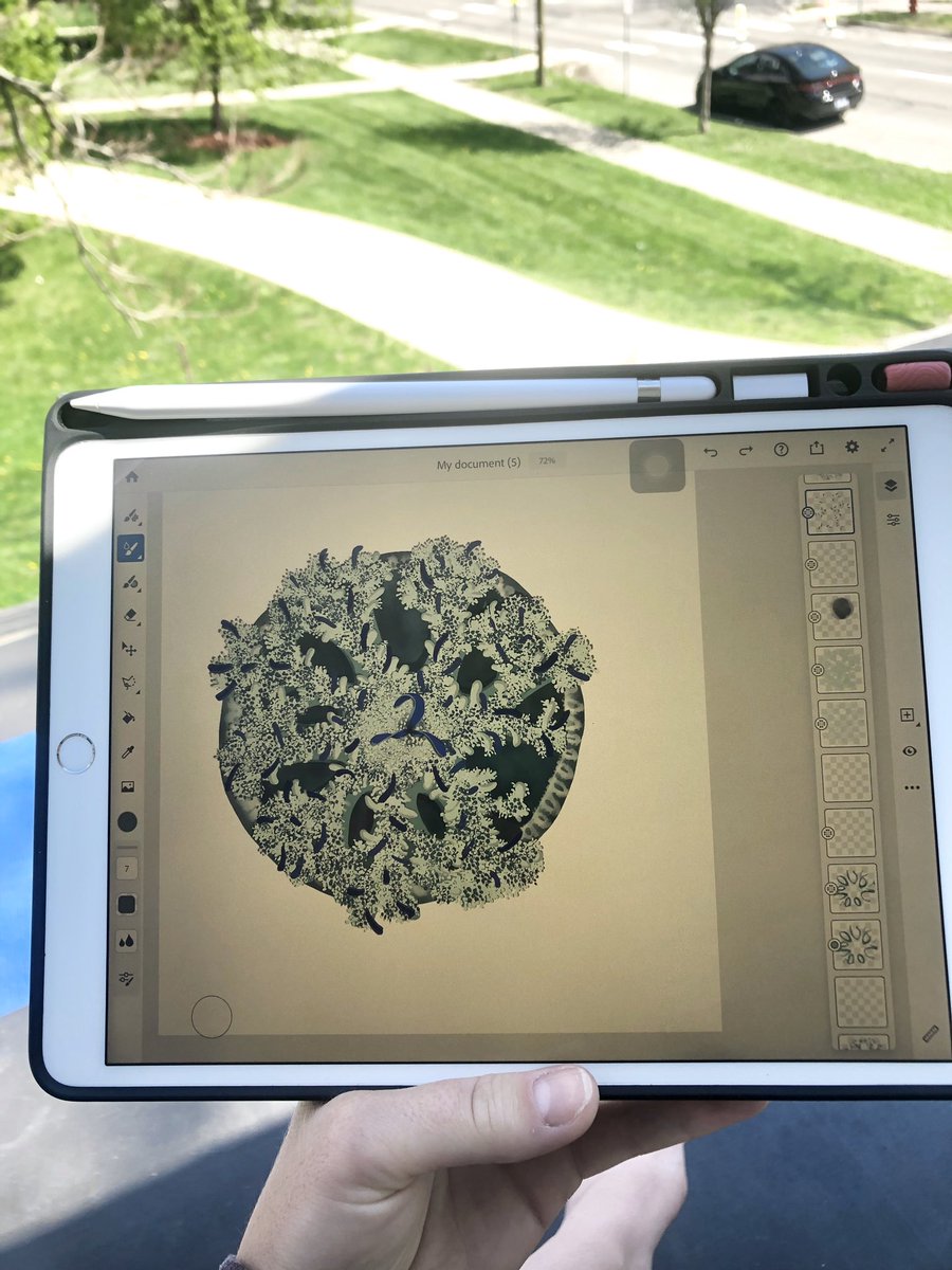 sammyiliff's tweet photo. Progress on an illustration of an upside-down #jellyfish (#Cassiopea xamachana) for my current manuscript! And an article I wrote for an @MyFWC newsletter featuring Cassiopea as the critter of the quarter https://t.co/Thq3aKDwAx
#invertsrule https://t.co/1jQo7vWlca