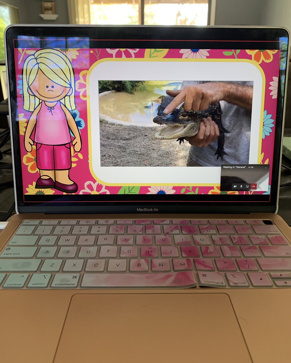 MrsScism13's tweet image. Our first virtual field trip to @FlamingoGardens was a success! 🐊🦩