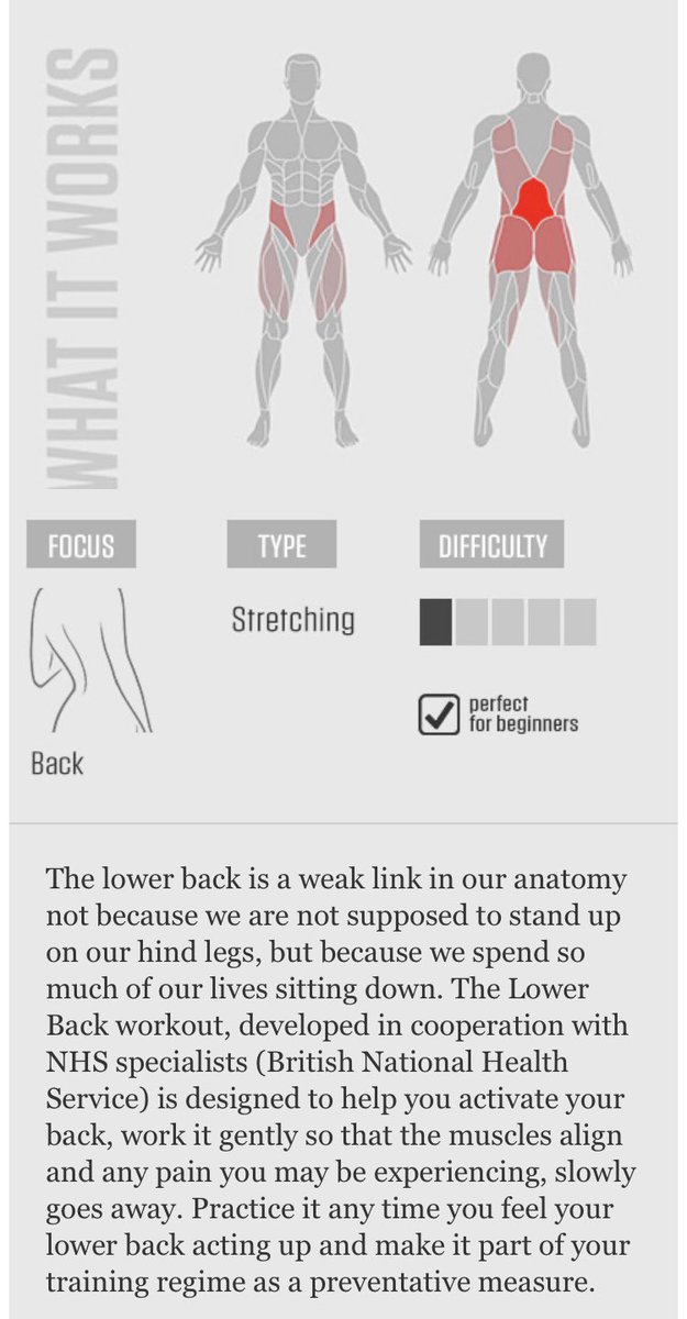 SCStarsPE's tweet image. Thursday is here &amp;amp; it’s almost Friday! Get your schoolwork done &amp;amp; get outside to have some fun before the rain comes! Oh, and also get your daily workout in today! Could be one of the most important ones to do yet!
#InThisTogetherLPS #LPSStaysFit #ShoalCreekStrong