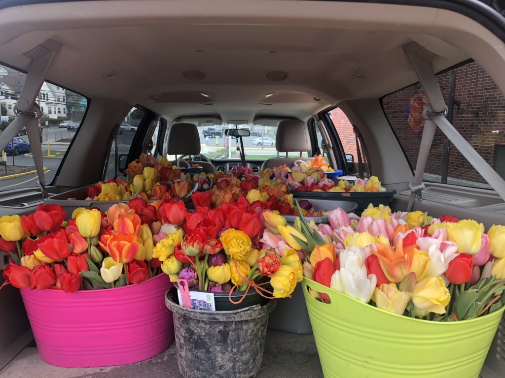 HospAssc_RI's tweet photo. Thank you #AdamsFarmRI and @AlexDistrict52 for your thoughtful donation of spring tulips for our frontline workers @carenewengland @CharterCareRI #LandmarkMedicalCenter https://t.co/1caK4gmbVT