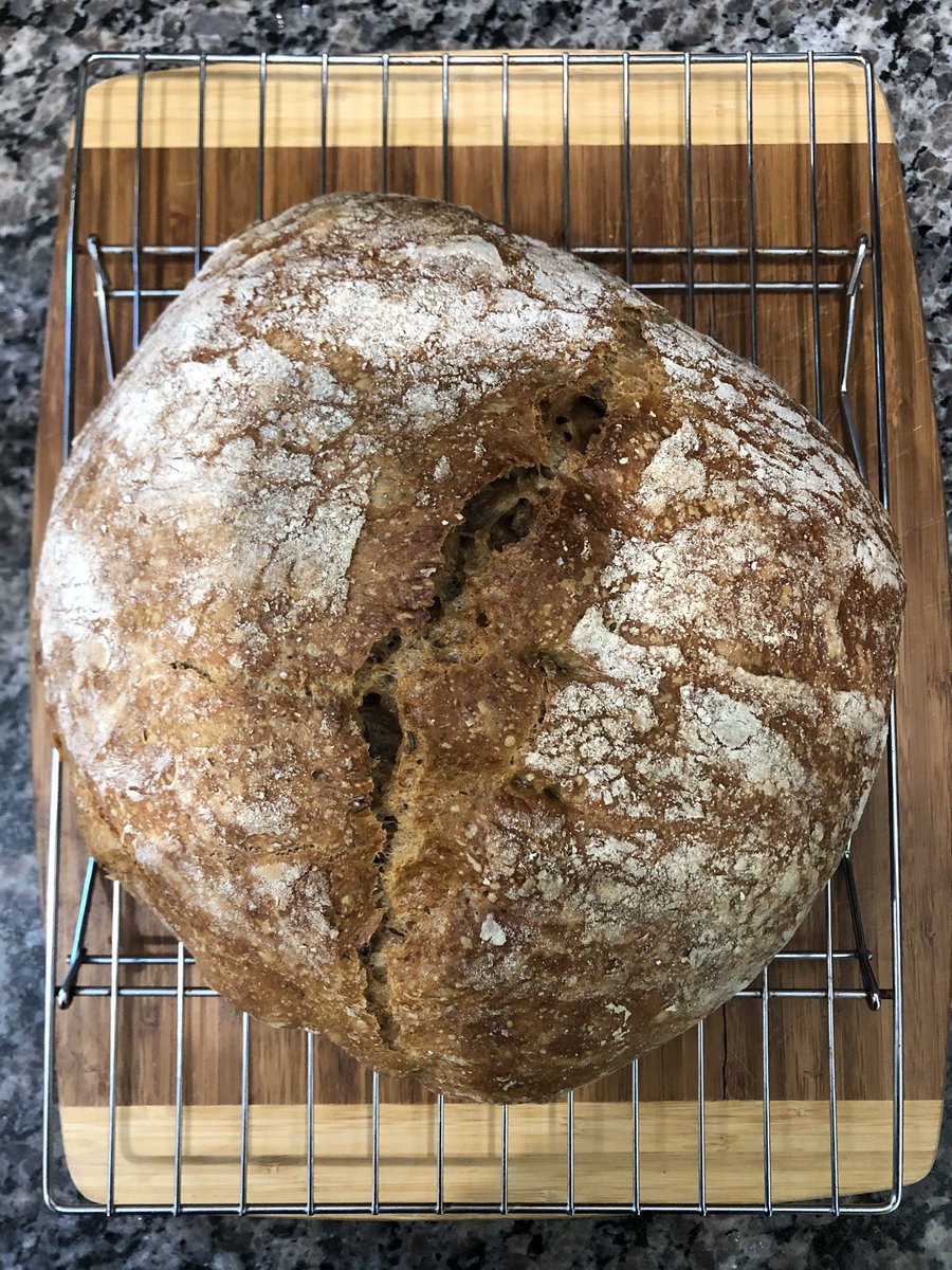 No Knead Beer Rye Bread (didn’t get sufficient rise)  https://www.thespruceeats.com/beer-rye-bread-no-knead-3062240