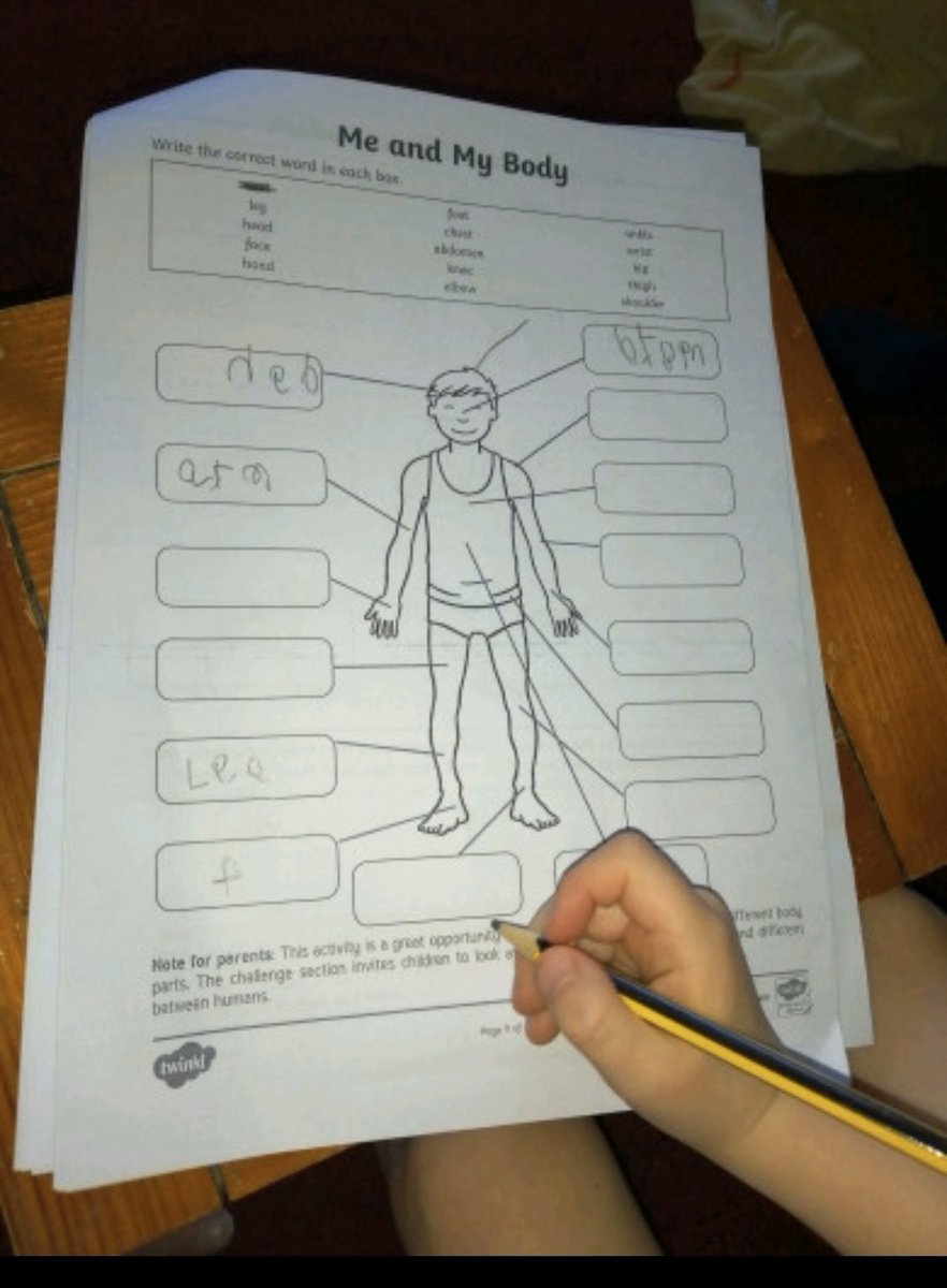 Smith_SMCA's tweet photo. Kellan has been working super hard this week especially with his science!! Amelia-Grace has been smashing maths this week! Keep it up guys #HomeLearningUK #superstars #proudteacher https://t.co/tZCQU4wSqc