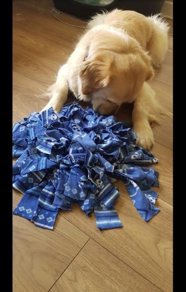 gsmhicd's tweet photo. Evan upcycled an old pair of pyjamas and bath mat to create a snuffle mat, the perfect activity for people whose dogs are struggling with being stuck in the house more!
@ATHE_HomeEc #homeeconomics #Makeovermay2020 https://t.co/SibTA458g0