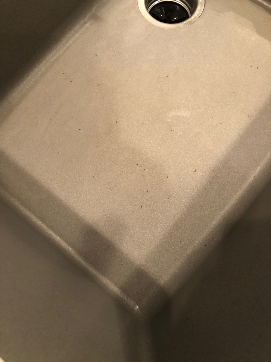 Johnllauer's tweet image. Do not buy @blancoamerica Blanco Silgranit sinks! 3 year old sink under std household use has numerous chips and  warranty dept says this is 'normal' in spite of advertising how durable they are supposed to be. I expect more from a $600 sink!  #poorproduct #poorcustomerservice