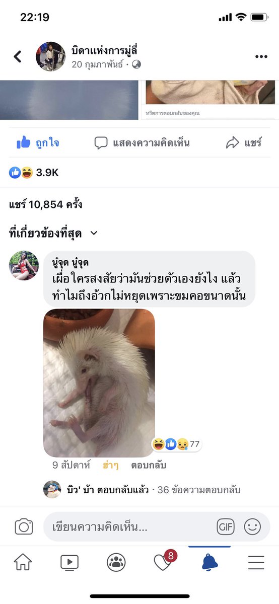คุณตุลา™ tweet media