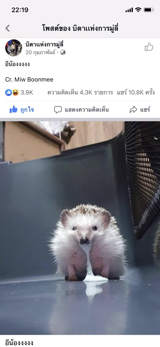 คุณตุลา™ tweet media