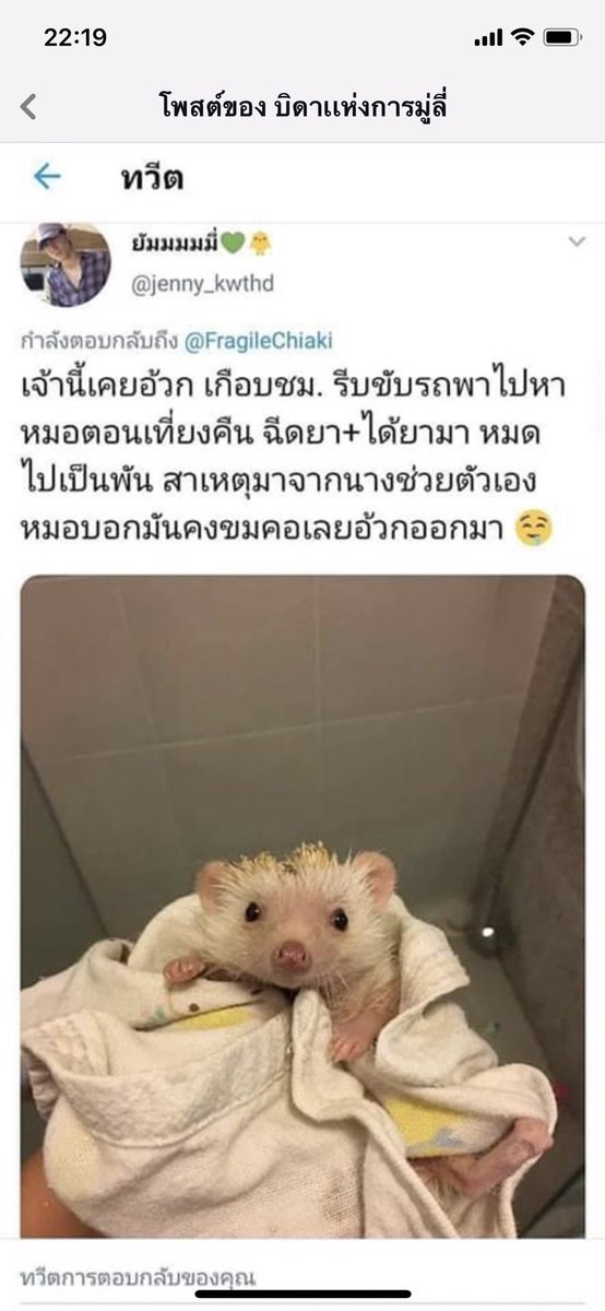 คุณตุลา™ tweet media