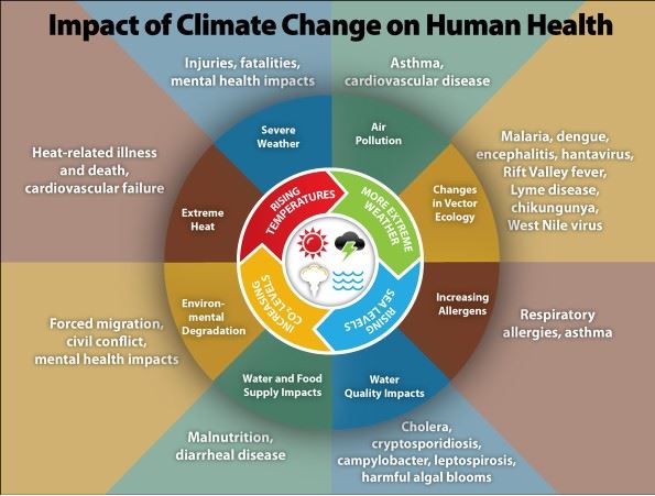 WeAreGHResearch's tweet photo. Preparing #healthcare for #climatechange - @Guidehouse's Allison Viola &amp; Noah Goldstein on acclimating critical #healthcare delivery for a warming world @AHIMAResources: https://t.co/7pP9OwAeIY @GuidehouseESI @GuidehouseHC https://t.co/dgvbJTP2jw