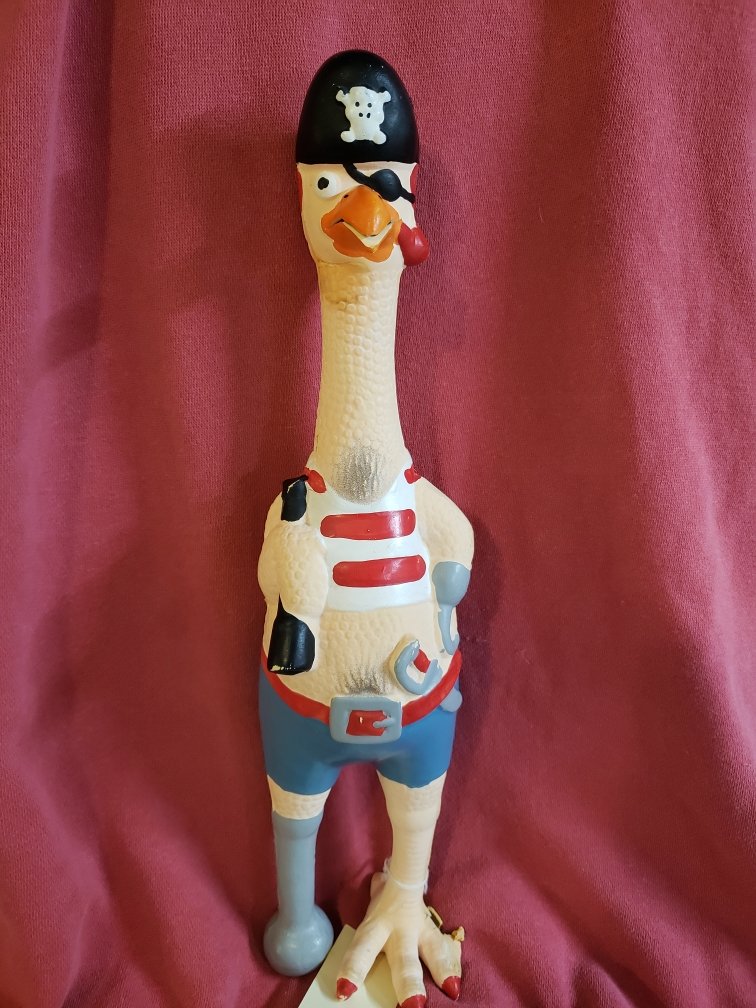 NCMaritimes's tweet photo. Pirate chicken, reporting for #CuratorBattle! https://t.co/Yw3gsXLART