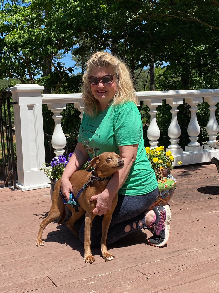 MoonInteriors1's tweet photo. Our president Angelia Moon is pictured with her rescue from Second Chance, sweet Tink girl. Only two days left to donate to our Moon interiors Team to help raise money for @secondchancepet 🐶🐱 #RacingForRescues #PawsFurAPicture #AnyAmountCounts https://t.co/ZYcvu0DkhU
